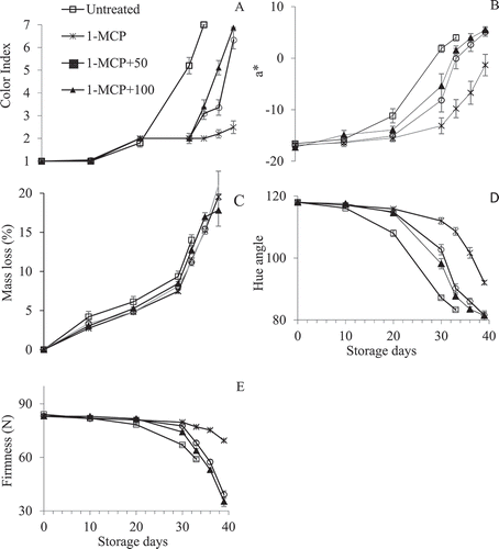 Figure 1. Combined effect of ethephon and 1-MCP on color index (A), a* (B), mass loss (C), hue angle (D) and firmness (E) stored at 14 and 23 °C for 30 d and 9 d, respectively. Fruit were green from 0–30 d and treated with ethephon at 30 d to initiate ripening, which lasted for 30–39 d. Each value is a mean of four replicates (n= 4) ± standard error. 1-MCP represents 400 nL L−1 1-MCP; 1-MCP+50, 1-MCP plus 50 µL L−1 ethephon; 1-MCP+100, 1-MCP plus 100 µL L−1 ethephon