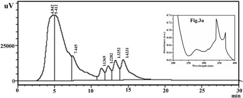 Figure 3 HPLC chromatogram profile of aqueous extract of Acalypha indica leaf at 340 nm; UV spectrum of aqueous Acalypha indica leaf extract (Inset Figure 3A).Abbreviations: HPLC, high-performance liquid chromatography; UV, ultraviolet.