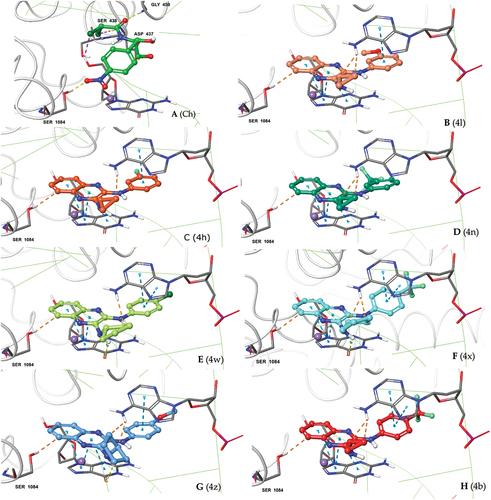 Figure 4. Docking poses of our 2,3-diamino quinoxaline designs (A-H) at the quinolone-binding site of S. aureus DNA gyrase. Consistency in binding interactions with protein (Ser-1084) and DNA base pairs DG (G):9; DA (H): 13 and posing adjucent to Mg+2 ion can be seen for all the new designs.