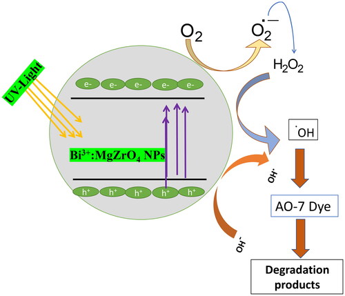 Figure 11. The photo-degradation mechanism of AO-7 dye.