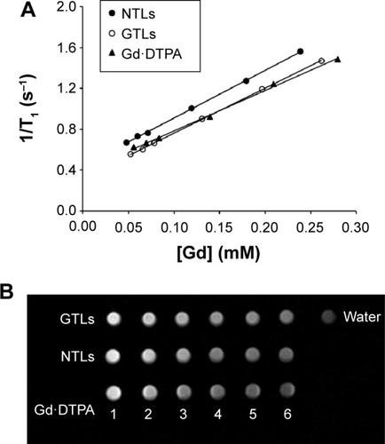 Figure 2 The T1 relaxation rate (R1=1/T1, s−1) of GTLs, NTLs and Gd⋅DTPA at different Gd concentrations (A). T1-weighted MR images of GTLs, NTLs, Gd⋅DTPA and water (B).Notes: Here water served as a blank control without Gd. 1, 2, 3, 4, 5 and 6 referred to the concentrations of Gd at 0.25, 0.20, 0.15, 0.10, 0.075 and 0.0625 mM, respectively (B).Abbreviations: NTLs, nontargeted gadolinium-loaded liposomes; GTLs, GBI-10-targeted gadolinium-loaded liposomes; Gd⋅DTPA, gadopentetate dimeglumine.