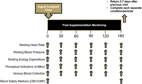 Figure 1. Schematic overview of research design.