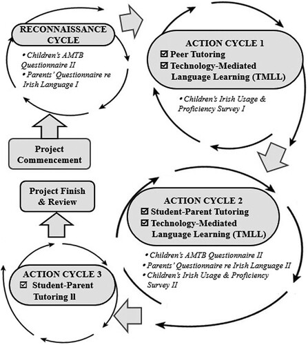 Figure 1. Action cycles of the study and data subset explored in this paper.