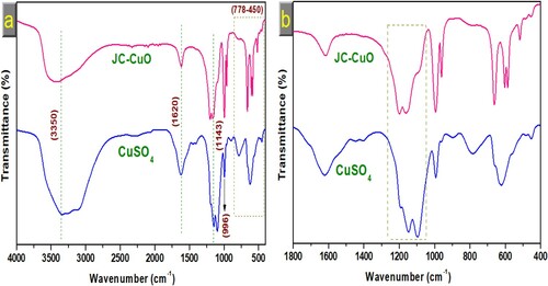 Figure 3. (a) FTIR spectra of pure copper sulphate and CuONPs (b) corresponding magnified FTIR spectra.