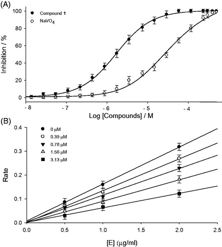 Figure 2. (A) Inhibitory effect of compound (1) and positive control (NaVO4) on PTP1B activity. (B) Determination of the reversible inhibitory mechanism of compound 1 on PTP1B. Data represent the results of three independent experiments performed in triplicates for each sample.