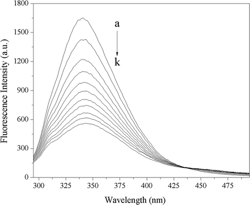 Figure 4. Fluorescence spectra of 2.50 × 10–7 mol L−1 trypsin in absence and presence of acteoside in phosphate buffer (pH 8.0) at 310 K, c(acteoside) (a–k): 0, 0.67, 1.33, 2.00, 2.67, 3.33, 4.00, 4.67, 5.33, 6.00, 6.67 (×10–6 mol L−1), respectively.