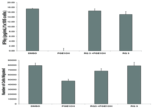 Figure 3. Effects of RQ-15986 in NK cells. (A) Splenic NK cells isolated from normal mice as the DX5+CD3- cell population were treated with DMSO, 5 µM PGE1-OH and/or 3 µM RQ-15986 for 30 min followed by treatment with 1000 U/mL interleukin-2 (IL-2) for 18 h. Conditioned media were then assayed for interferon γ (IFNγ) levels by ELISA, in triplicate replicates. (B) NK cells were treated with 1 µM PGE1-OH for 10 min and allowed to migrate across the top of a microplate (3 μm pore size) for 3 h in response to fetal bovine serum (FBS).