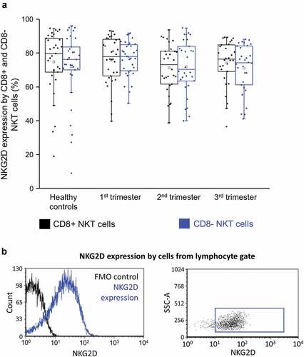 Figure 7. NKG2D expression (a) by CD8 receptor positive and CD8 receptor negative NKT cells in the three trimester of healthy pregnancy and in healthy controls. The solid bars represent medians of 33, 34, 30 and 36 determinations respectively, the boxes indicate the interquartile ranges, and the whiskers show the most extreme observations. The middle square within the box represents the mean value. Representative FACS plots and histograms show the expression of NKG2D surface marker (b) expression by cells in the lymphocyte gate. To determine the positivity of NKG2D FMO control was used.