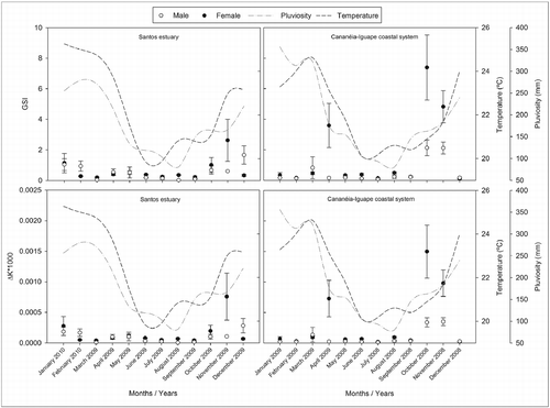 Figure 6 Monthly variation of the mean values of GSI and of the condition factor (ΔK) for males and females of Mugil curema and the annual mean ocean surface temperature (°C) and rainfall index (mm) of the Cananéia-Iguape coastal system and Santos estuary, coast of SP state.