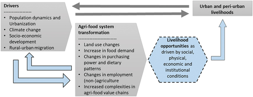 Figure 1. Agri-food systems transformation and associated urban and peri-urban livelihoods.