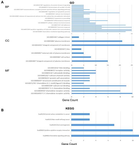 Figure 11 The enrichment analysis of CC chemokine receptors and 50 most frequently altered neighboring genes in LUAD (David 6.8).