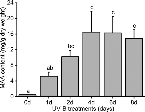 Fig. 3 Analysis of the Pseudanabaena sp. CCNU1 MAA contents. The Pseudanabaena sp. CCNU1 culture was exposed to 30 μmol photons m−2 s−1 photosynthetically active radiation and 0.15 W m−2 UV-B radiation for up to 8 days. Different letters on the error bars indicate significant differences (Tukey’s HSD, p ≤ 0.05). Data are presented as the mean ± standard deviation (n = 3)