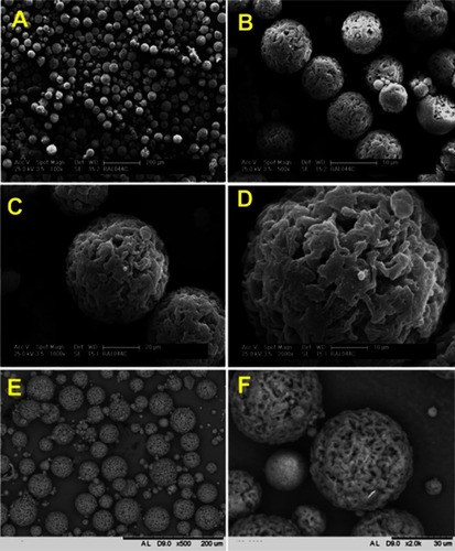Figure 4 SEM images of PHB-HV 8%/Ho(acac)3-MS in Philips XL30 Microscope (A–D) and Tabletop Microscope TM3000 (E–F). Magnifications: (A) 100×, (B) 500×, (C) 1000×, (D) 2000×, (E) 500×, and (F) 2000×.Abbreviations: SEM, scanning electron microscopy; PHB-HV, poly(3-hydroxi-nutyrate-co-3-hydroxy-valerate); MS, microspheres.