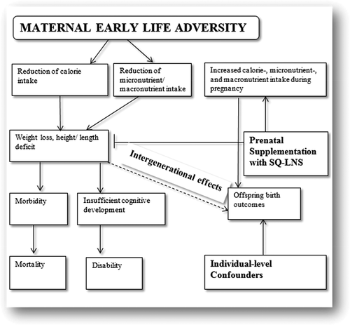 Figure 2. Conceptual framework at the micro-level (intergenerational effects of maternal early life adversity on newborn size in rural Malawi)