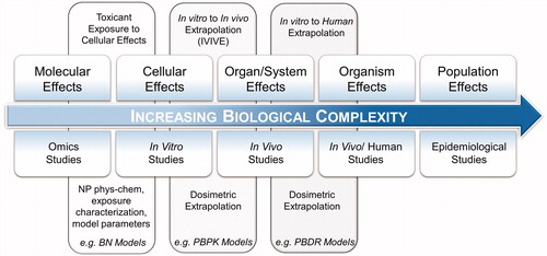 Figure 1. A systems toxicology paradigm. The pathway aims to extrapolate all available toxicological information to humans using a combination of in silico methods and toxicokinetics modeling. Molecular level analysis provides toxicological information preceding cellular and physiological manifestation of effects. In vitro methods investigate cellular effects of direct exposure to a substance. In vivo studies provide an examination of a variety of tissues in controlled environments. Human studies require biomonitoring, sampling and tissues/fluids analysis. Population level effects is the culmination of this extrapolation with supporting evidence typically requiring longitudinal observations and large-scale data gathering.