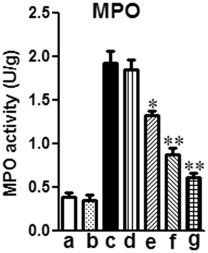 Figure 5. Effects of mogroside V on MPO activity of LPS-induced ALI mice. Mice were given an oral administration of mogroside V 1 h prior to an i.n. administration of LPS. MPO activity was determined at 12 h after LPS challenge. The values presented are the means ± SEM of three independent in vivo experiments. *p < 0.05, **p < 0.01 versus LPS group.
