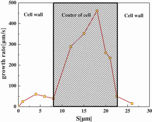 Figure 11. Intracellular ice crystal growing rate at different cooling rates in a cell with CB. The shaded area in the graphs distinguished between the cell wall and the center of the cell.