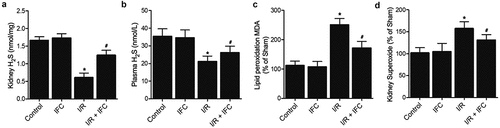 Figure 4. IFC-305 restored the normal levels of H2S, MDA and superoxide in the renal tissue and peripheral blood of I/R rats (* P value < 0.05, vs Control group; # P value < 0.05, vs. I/R group). A: H2S concentration was decreased in the renal tissue of I/R rats and restored by subsequent IFC-305 treatment. B: H2S concentration was decreased in the peripheral blood of I/R rats and restored by subsequent IFC-305 treatment.C: MDA was increased in the renal tissue of I/R rats and reduced by subsequent IFC-305 treatment. D: Superoxide was increased in the renal tissue of I/R rats and reduced by subsequent IFC-305 treatment.