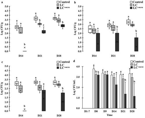 Figure 4. Effect of LC+mcra on reducing colonization of EHEC in mice gut intestine. The bacterial numbers of EHEC at 14, 21, and 28 days in cecum (a), jejunum (b), ileum (c), and feces (d) from EHEC-infected mice with no probiotic treatment, LC, or LC+mcra pretreatment were investigated in triplicate. Different letters (‘a’ through ‘c’) at individual time point (day 14, 21, or 28) are significantly different (p < 0.05) in the numbers of EHEC among control, LC pretreatment, and LC+mcra pretreatment.