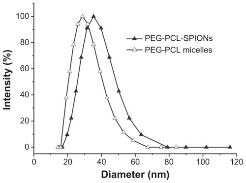 Figure 4 DLS profiles of PEG-PCL-SPIONs and blank PEG-PCL micelle.Abbreviations: DLS, dynamic light scattering; PEG-PCL-SPIONs, poly(ethylene glycol)-poly(ɛ-caprolactone) superparamagnetic iron oxide nanoparticles.