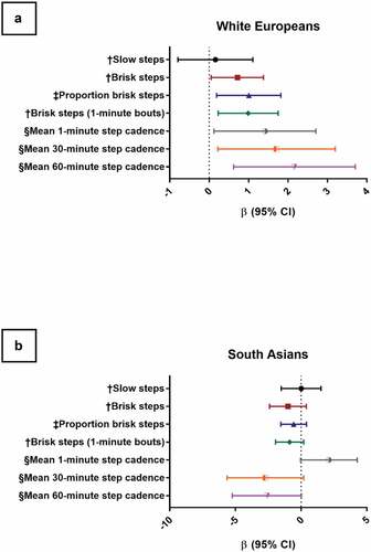 Figure 2. Forest plots of relationships between step cadence variables and STS-60 repetitions for White Europeans and South Asians. Model adjusted for: age, sex, height, weight, physical activity category, and accelerometer waking wear time. Slow/brisk steps mutually adjusted. Panel 2A represents relationships between directly measured step cadence and performance in the sit-to-stand-60 (STS-60) in White Europeans. Panel 2B represents relationships between directly measured step cadence and performance in the STS-60 in South Asians. † per 1000 steps, ‡ per decile, § per 10 steps/min.