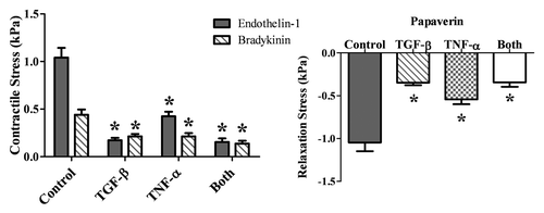 Figure 4 Contractile stress of the TEVMs. The addition of TGFβ1 and TNFα alone or combined resulted in significantly diminished contractile stress when TEVMs were stimulated with endothelin-1 and bradykinin. * signifies p value ≤0.05 as compared to the control using the same drug.