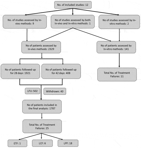 Figure 3. Flow chart of the patient enrollment and follow-up in CQ drug efficacy studies.
