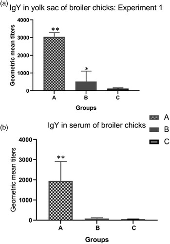 Figure 1. Antibody titres in progeny of broiler breeders submitted to different regimes of vaccination against Salmonella. Group A: birds originated from breeders vaccinated with vaccine 1. Group B: birds originated from breeders vaccinated with vaccine 2. Group C: birds originated from breeders unvaccinated against Salmonella. The antibody titres (GMT) were measured in the yolk contents (a) and blood serum (b) of day-old broiler chicks. Significant differences are indicated by asterisks (*P < 0.05; **P < 0.01).