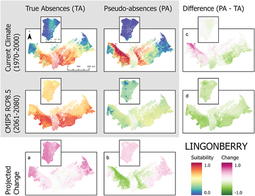 Figure 6. Ensemble habitat suitability maps (gray box) for lingonberry (Vaccinium vitis-idaea) projected under current and future climate conditions using true absences and pseudo-absences models. Banks Island is inset over the mainland portion of the study area for enhanced visualization. Plots (A)–(D) correspond to differences between climate projections and data types along the columns and rows.
