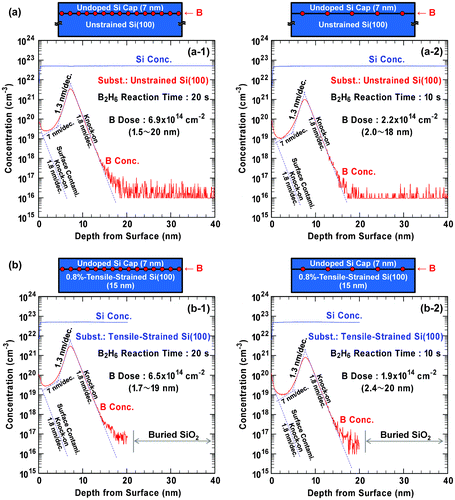 Figure 6. SIMS depth profiles of B and Si concentrations in as-deposited B AL-doped Si films epitaxially grown on (a) unstrained SOI and (b) 0.8%-tensile-strained SOI. B2H6 reaction time was (a-1, b-1) 20 s and (a-2, b-2) 10 s. Si cap layer thickness was fixed at 7 nm. Here, it is confirmed that the B doses, which are integrated values of the B concentration in the regions shown in the figures, are in good agreement with the initial B amounts.