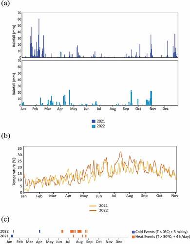 Figure 2. Weather conditions in 2021 and 2022. (a) Rainfall values – mm; (b) Temperature values – °C; and (c) cold and heat events.