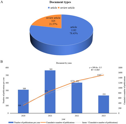 Figure 2. Analysis of the type and quantity of publications. (A) Types of publications. (B) The annual number and cumulative publications related to this topic.