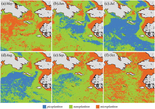 Figure 2. Climatology (1998 to 2016) monthly composite images of the OC–CCI–derived dominant phytoplankton size classes in (a) May, (b) June, (c) July, (d) August, (e) September, and (f) October (blue, green, and red colors indicate pico, nano, and micro phytoplankton dominant).