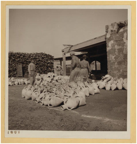 Figure 5. John D. Whiting, Bedouin woman digging for kimme (Desert truffle), 1939. Library of Congress.