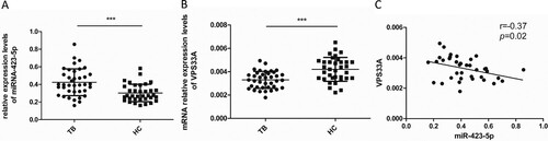 Figure 6. Spearman correlation coefficients revealed an inverse correlation between the mRNA levels of VPS33A and miR-423-5p in the PBMCs of TB patients. (A) The levels of miR-423-5p were measured by qPCR in the PBMCs of TB patients (N = 38) and HCs (N = 35). (B) The mRNA levels of VPS33A were measured by qPCR in the PBMCs of TB patients (N = 38) and HCs (N = 35). (C) Spearman correlation coefficient between the mRNA levels of VPS33A and miR-423-5p in the PBMCs of TB patients was calculated. Median values are shown by horizontal lines. N: number of subjects. TB: pulmonary tuberculosis. HCs: healthy controls. * P < 0.05, ** P < 0.01, *** P < 0.001.