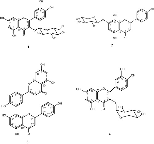 Figure 3. Chemical structures of the main identified compounds.