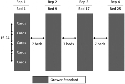 Figure 2. Evaluation trial map. Four water-sensitive paper cards are placed at five locations along each bed. In the depicted scenario, a spray rig would travel up bed 1, then down bed 9 and again for bed 17 and 25. Each bed is considered a replication.