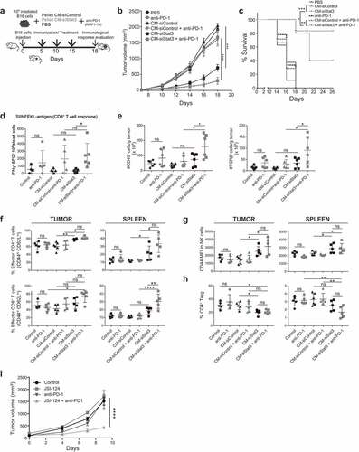 Figure 4. Immunotherapy with SASP from Stat3-silenced cancer cells acts in synergy with anti-PD-1 antibodies