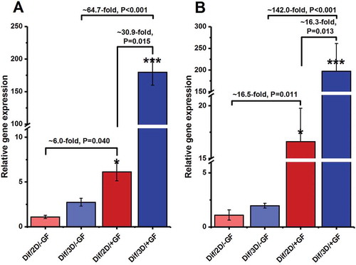 Figure 6. Relative gene expression profile of meiotic and post-meiotic markers, (A) Sycp-3 and (B) Tekt-1, at the end of the experiment period (i.e., at the end of 4 weeks of culture). The expression levels of target genes in different experimental groups were investigated in relation to the expression rate of the same gene in the Dif/2D/–GF group. The experiments were replicated at least three times and expression levels were normalized according to housekeeping gene β-actin. *, **, and ***, respectively, denote significant differences at P < 0.05, P < 0.01 and P < 0.001 levels compared to the Dif/2D/–GF group. Data represent the mean (± SD) of 2−△△Ct.