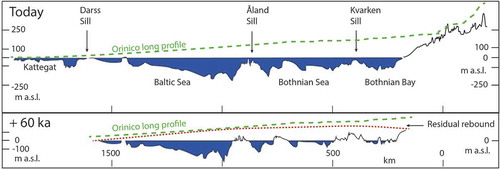 Figure 3. Cross-section of the Baltic Sea basin today and at 60 ka in the future after residual glacial isostatic rebound is complete. Line of section indicated on Fig. 4. The long profile of the Orinoco River is added for comparison. Residual isostatic rebound at 60 ka after Näslund (Citation2006).