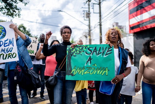 Brazilian environmentalists protesting about the Amazon.