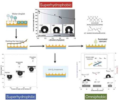 Figure 15. Schematic of the fabrication of superhydrophobic, superhydrophilic, and omniphobic surfaces by using honeycomb films as templates. Reproduced with permission from [Citation112,Citation126,Citation127] (Copyright (a) 2005, (b) 2014 American Chemical Society, (c) 2014 Wiley).