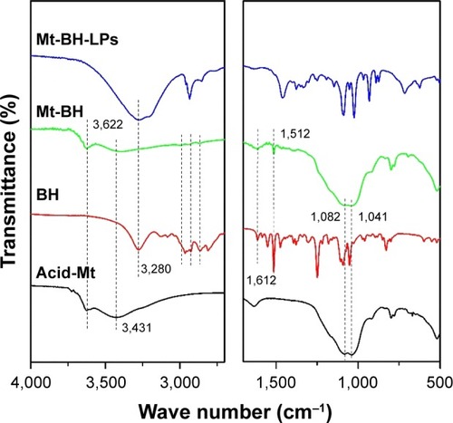 Figure 8 FTIR spectra of acid-Mt, BH, Mt-BH, and Mt-BH-LPs.Abbreviations: FTIR, Fourier-transform infrared; Mt-BH-LPs, montmorillonite–betaxolol hydrochloride liposomes; BH, betaxolol hydrochloride; Mt, montmorillonite.