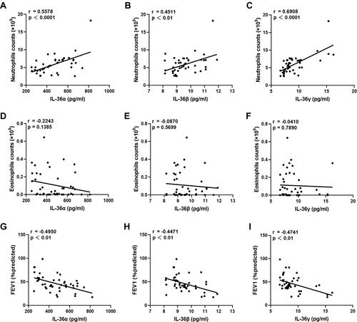 Figure 3 In COPD, IL-36 was closely related to neutrophils. (A–C) Correlation analysis of IL-36 and neutrophils in the COPD group. (D–F) Correlation analysis of IL-36 and eosinophils in the COPD group. (G–I) Correlation analysis of IL-36 and the lung functions in the COPD group.