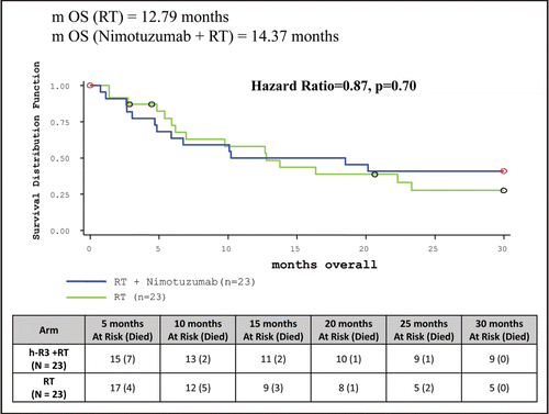 Figure 7 Comparison of overall survival of nimotuzumab + RT and RT arm.