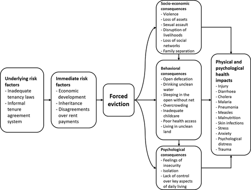 Figure 2. Factors affecting forced eviction and outcomes identified in the qualitative study