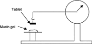 1 Schematic of modified tensiometer used for mucoadhesion studies.