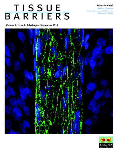 Figure 3. Cover of Tissue Barriers Volume 1, Issue 3 (July/August/September 2013).