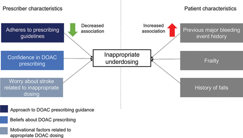 Figure 3. Schematic of main characteristics* associated with inappropriate underdosing of DOACs.