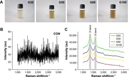 Figure 2 Features of the specimens characterized by Raman.Notes: (A) GO aqueous solution. (B) Raman spectrogram of CON. (C) Raman spectrogram of G20, G50, G80, G100.Abbreviations: CON, control; GO, graphene oxide.